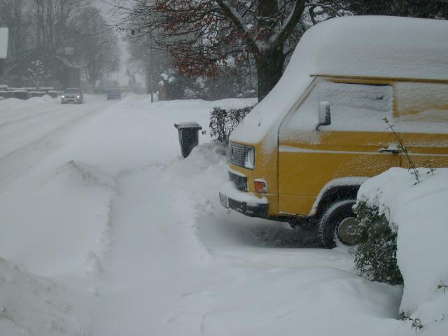Winter 2010 S7300140.jpg
